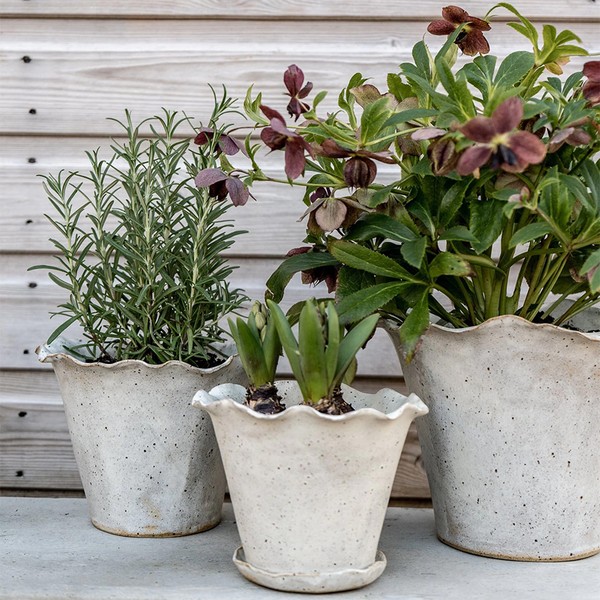 Ebba Giardino Planter from Holly & Co