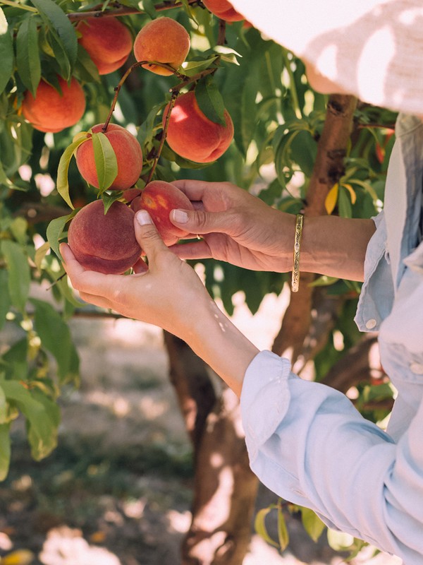 The Best Pick-Your-Own Farms Near London