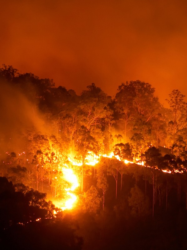 8 Ways To Donate To The Fight Against Australia's Bushfires