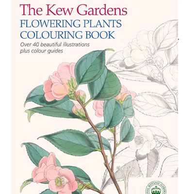 The Kew Gardens Flowering Plants Colouring Book from Waterstones