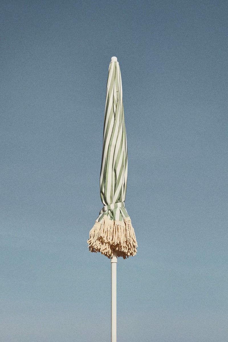 Fringed Parasol
