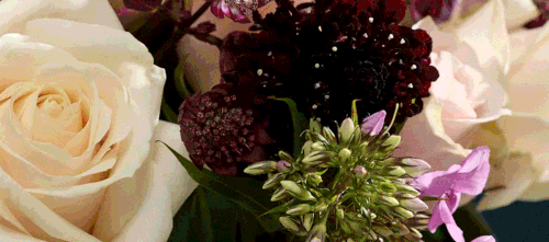 An M&S Flower Launch You Need To Know About