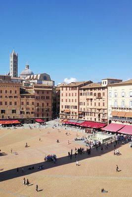 Piazza Del Campo In Siena