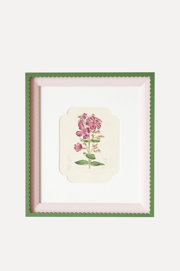 Set Of 9 Decorative Hand Coloured Engravings By Benjamin Maund from Canford & Co