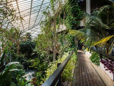 Barbican Conservatory