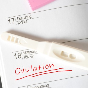 Ovulation 101: What To Know & Lifestyle Tips That Can Help