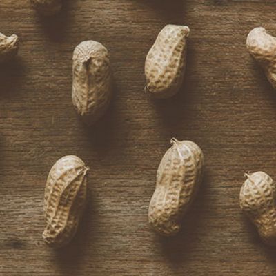 Everything You Need To Know About Peanut Allergies