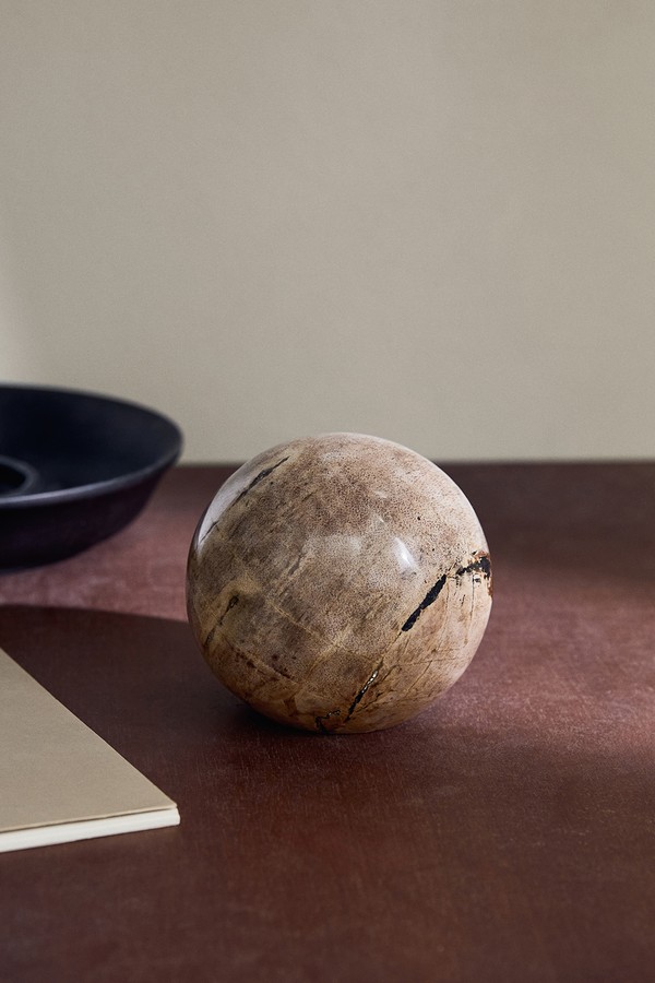 Petrified Wood Paperweight