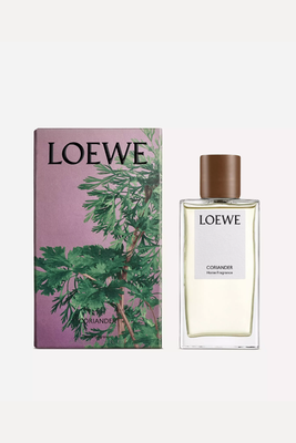Coriander Home Fragrance from Loewe
