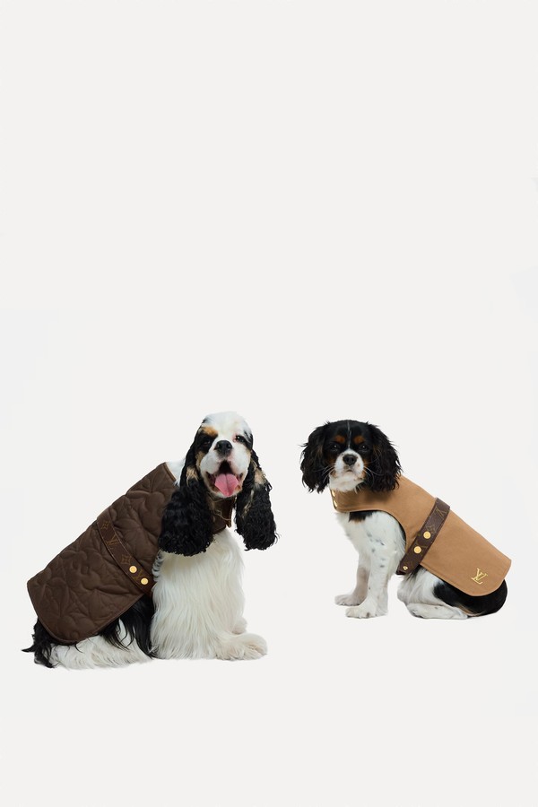 Waterproof Dog Coat MM from Louis Vuitton