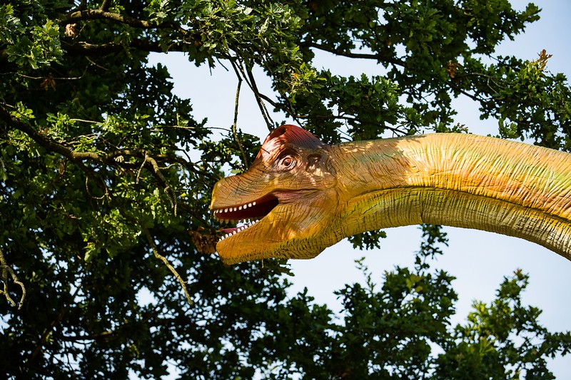 Dino Kingdom, West London