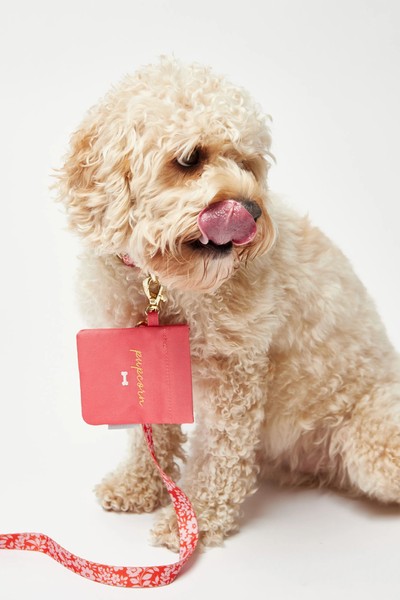 Pupcorn Red Dog Treat Bag from Oliver Bonas