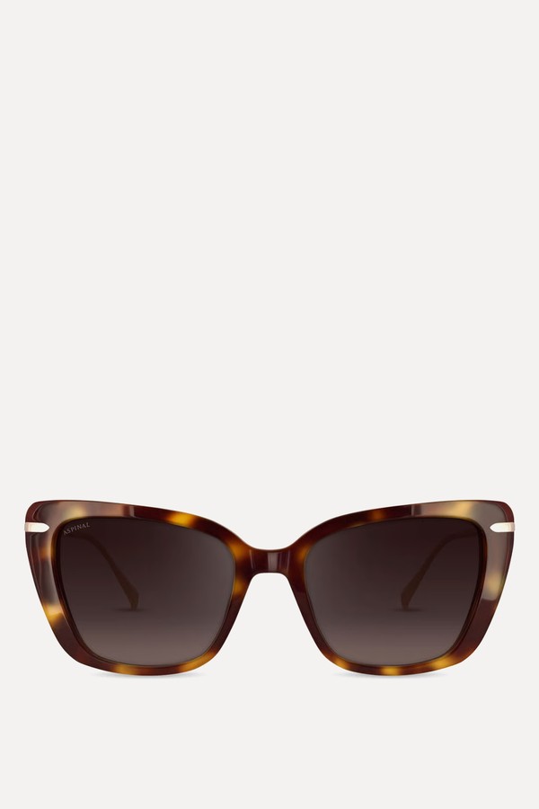 Resort Acetate Sunglasses 