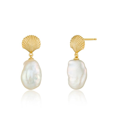 Ocean Shell Earrings