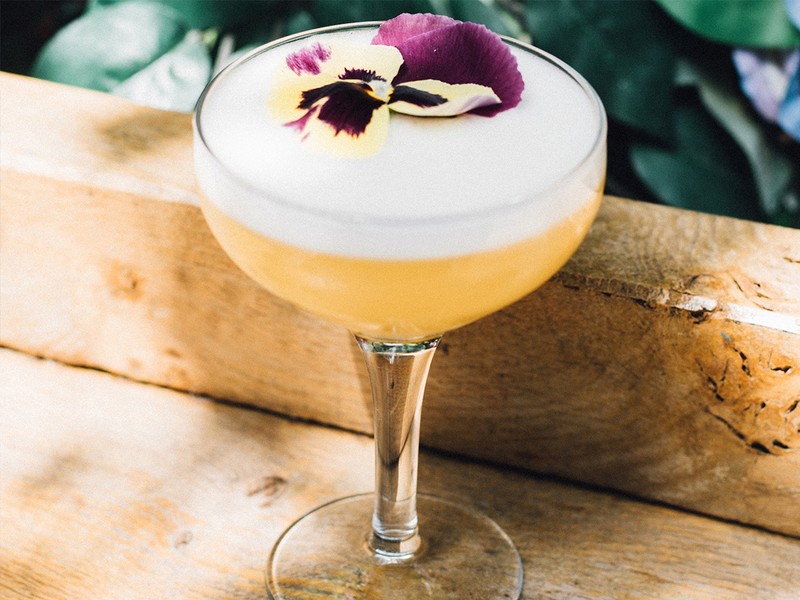 Incipio Group x Sapling Spirits