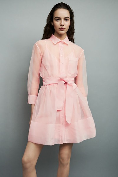 Organza Shirt Dress