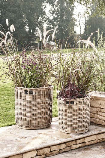 Two Round Rattan Planters, £225 | Cox & Cox