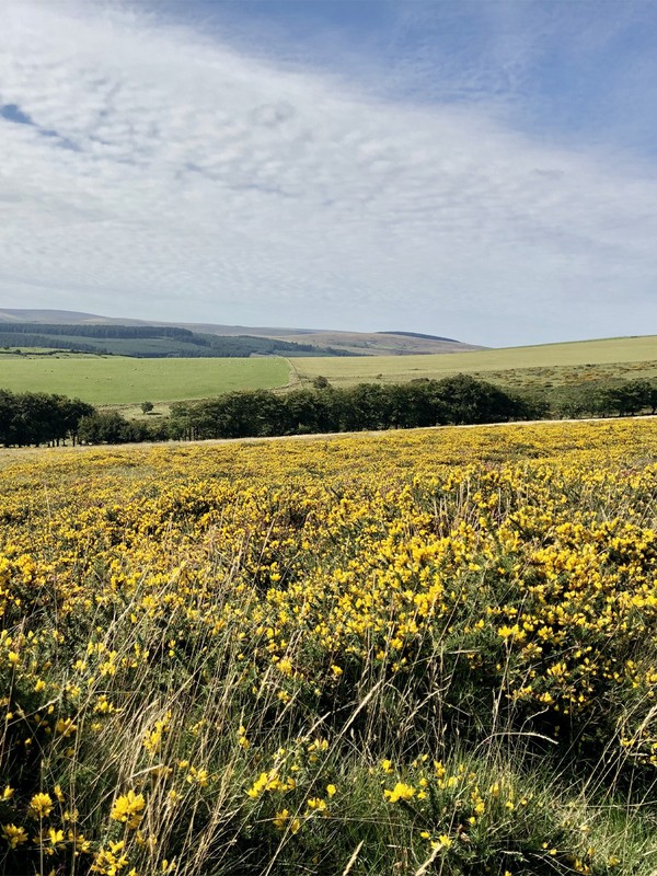 12 Walking Holidays in the UK