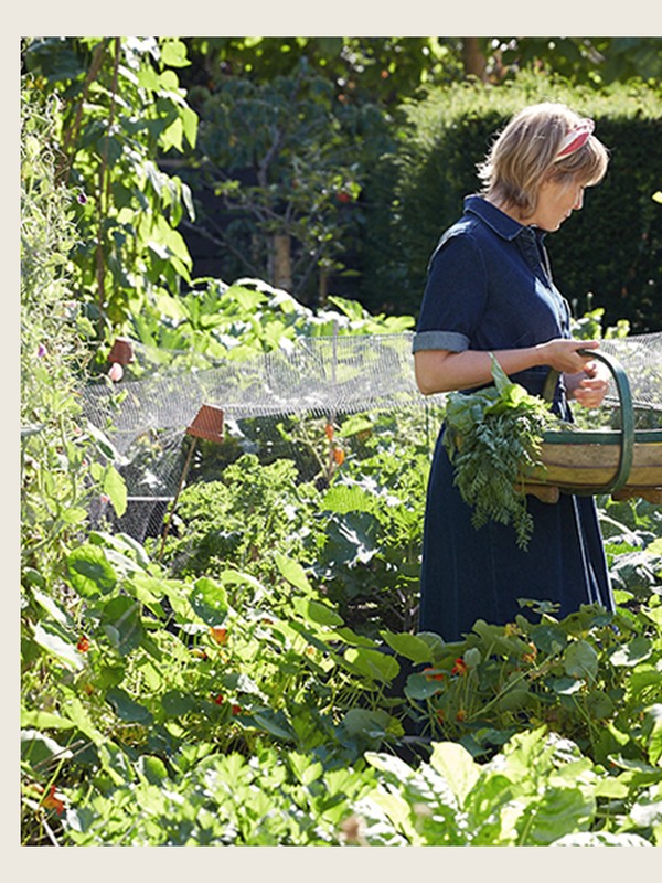 How To Make The Most Of Summer Vegetables