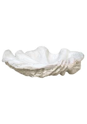 Shallow Giant Ceramic Clam Shell Dish from Matilda Goad