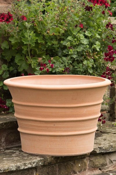 Monachou Fardipati Terracotta Pot from Crocus