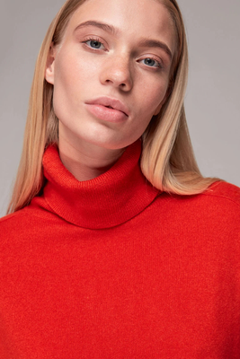 Cashmere Roll Neck Jumper  from Whistles