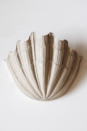 Plaster Shell Uplighter from Rose Uniacke 