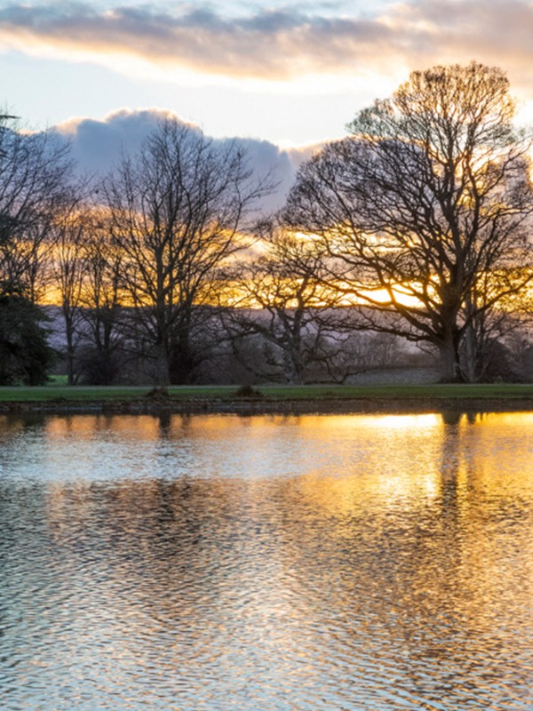 Winter Walks To Do With The Kids In & Around London