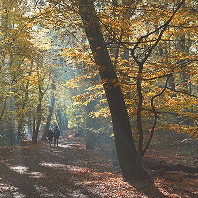 10 Autumnal Walks In Central London