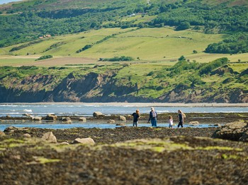 Robin Hood's Bay