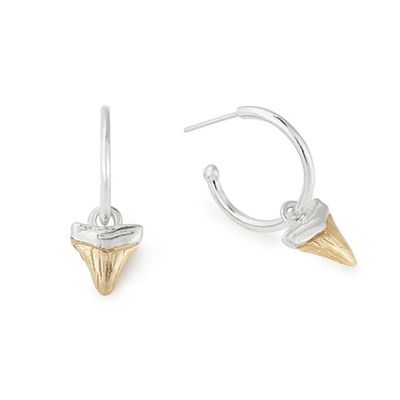 Shark Tooth Two Tone Earrings