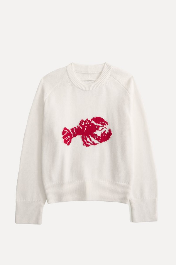 Madeline Lobster Crew Neck Jumper from Abercrombie & Fitch