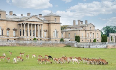 Holkham Hall