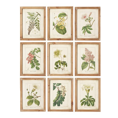 Set of Nine Framed Prints from OKA