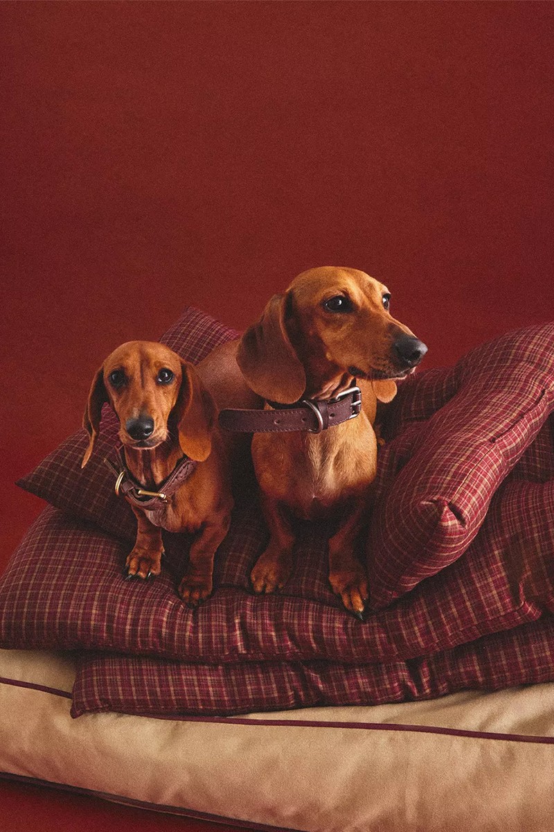 Check Christmas Pet Floor Cushion