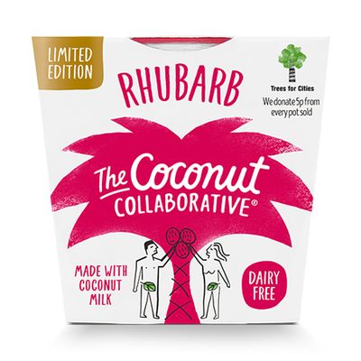 Dairy Free Rhubarb Coconut Yogurt