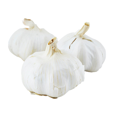 Large Spanish Garlic from Natoora