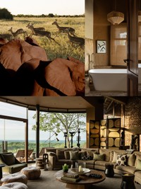 Why Safaris Are This Year’s Hottest Travel Trend