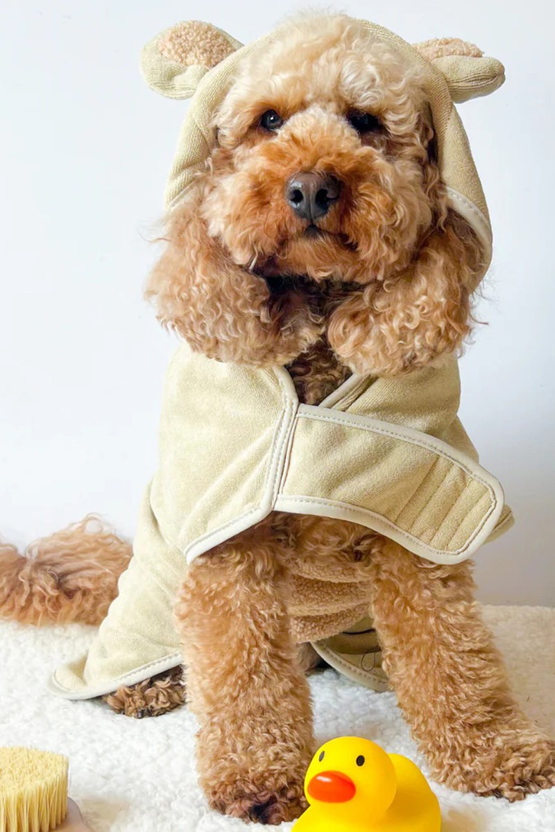 Teddy Drying Robe from Cocopup