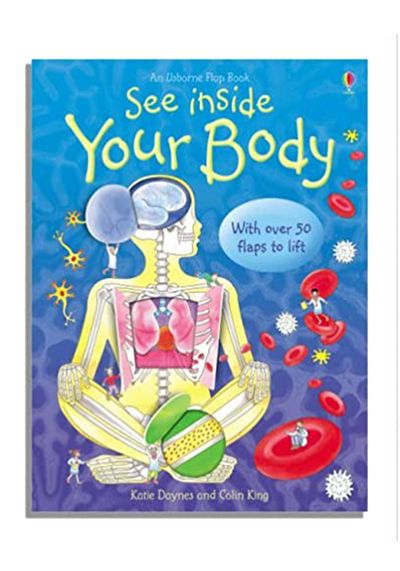 See Inside Your Body - See Inside from Katie Daynes