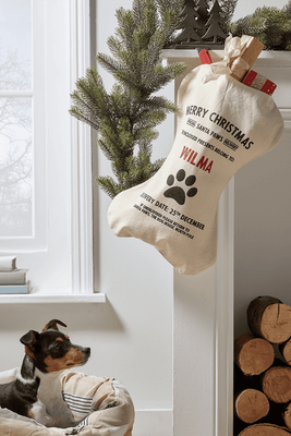 DIY Personalised Pet Stocking from Cox & Cox