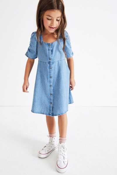 Ruched Sleeve Tea Dress