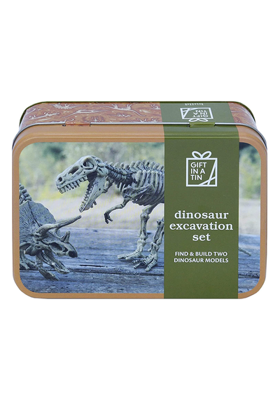 Dinosaur Excavation Set from Apple To Pears